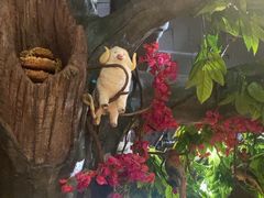 -草原塞蛮羊火锅城(港湾店)