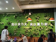-菌乡缘·野生菌蒸汽鱼火锅(江边夜市店)