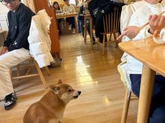 -柴の食堂·日式家庭料理·熊之肆(大学路店)