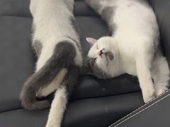 -美迦爱-牙专科·兔科·骨科诊疗中心(北苑店)