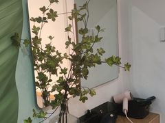 -北里·4k影院式足疗SPA馆(观音桥店)