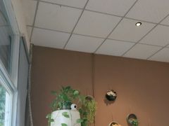 -宜宾小烧烤(川大路三段店)