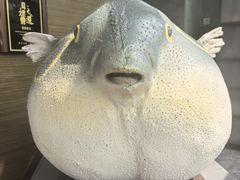 -肆月河豚·新淮扬(金融街店)