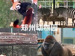 -郑州市动物园