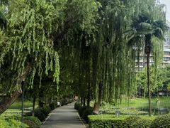 -宝岛公园