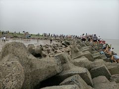 -南汇嘴观海公园