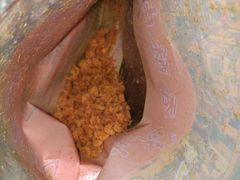 -花巷肉松(津泰店)