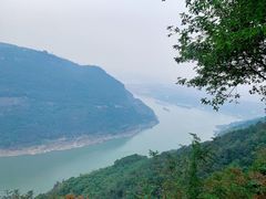 -铁山坪森林公园