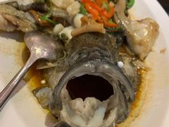 青花椒蒸龙胆鱼-闽和南(深圳万象城店)