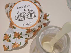 -狐狸家·酸奶酪专门店(平江路店)