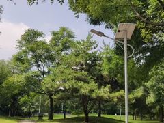 -回龙观体育文化公园