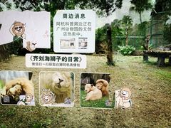 -广州动物园