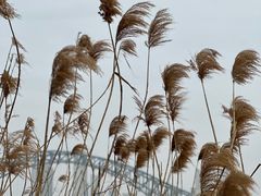 -汉江湾体育公园