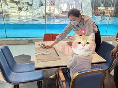 -帝企鹅自助餐厅•儿童岛•真企鹅(长隆企鹅酒店)