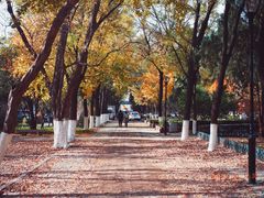 -山东大学(趵突泉校区)
