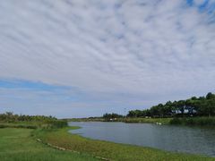 -春花秋色城市公园