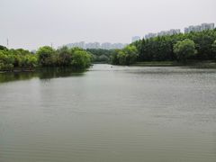 -昆山城市生态森林公园