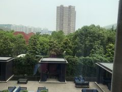 -当米亚诺意大利餐厅(武汉光谷凯悦酒店)