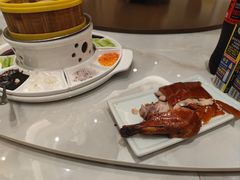 北京烤鸭-新南华大酒店(长寿店)