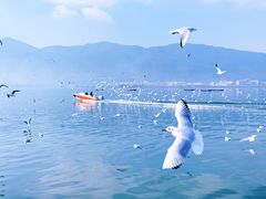 -海埂大坝