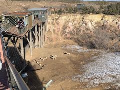 -鄂尔多斯野生动物园