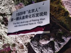 -周口店北京人遗址公园
