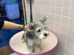 -FAELING PETS美天灵宠物(富力广场店)