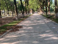 -上海鲜花港