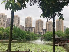 -龙头寺公园