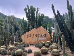 -深圳仙湖植物园