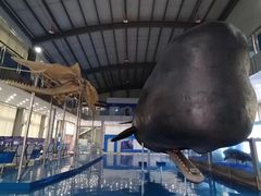 -上海海洋大学鱼文化博物馆(军工路校区)