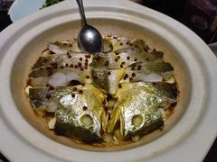 -新光酒家·河豚·海鲜·蟹料理(浦东店)
