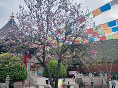 -西安市广仁寺