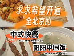 -阳阳中国饭(北京荟聚店)