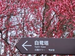 -洋湖国家湿地公园