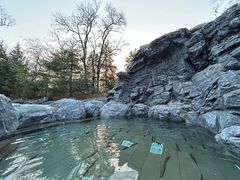 -和园景逸大酒店朗月汤泉