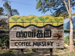 -Torch Coffee 炬点咖啡