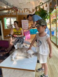 -萌宠亲子动物乐园(槐房万达店)