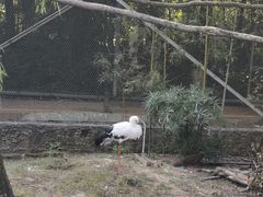 -杭州野生动物世界