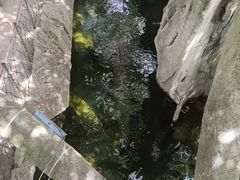 -青青世界