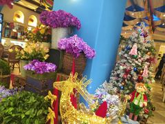 -Aqua Oasis 水天堂(相城天虹商场店)
