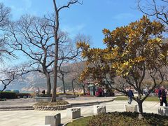 -青岛崂山太清宫