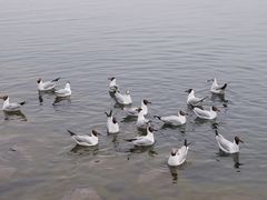 -青海湖二郎剑景区