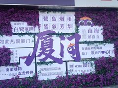 -演武大桥观景平台