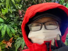-乐汇城