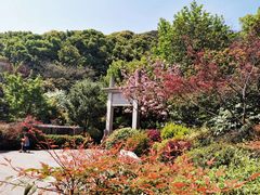 -杭州半山国家森林公园