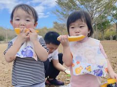 -聚龙山公园