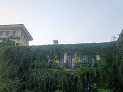 -府河摄影公园