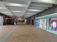 -香港大学