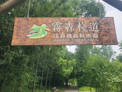 -江苏三台山国家森林公园